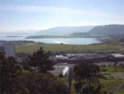 [Photo: South Basin and surround area.]