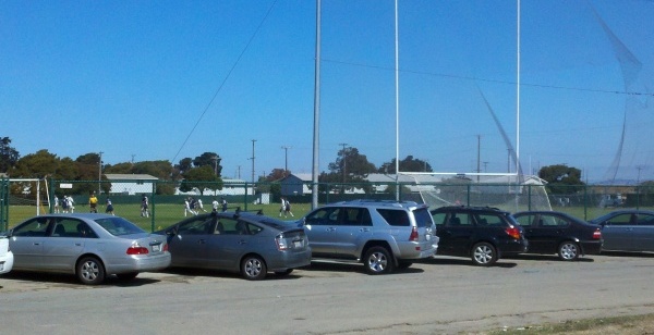 Treasure Island Arc Ecology