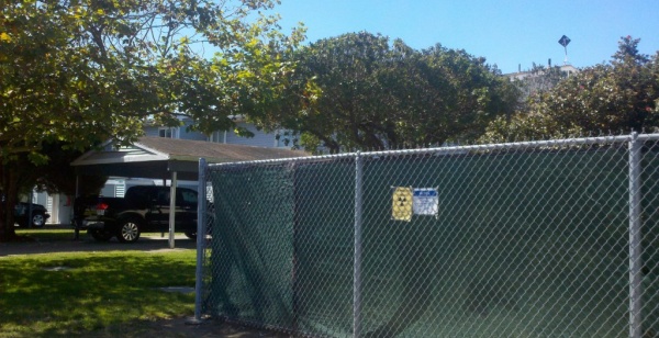 Treasure Island Arc Ecology