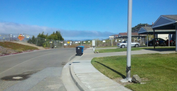 Treasure Island Arc Ecology