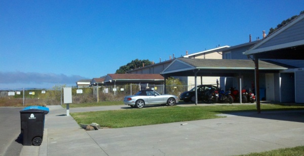 Treasure Island Arc Ecology