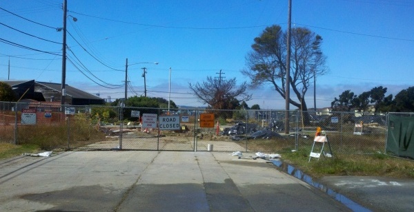 Treasure Island Arc Ecology