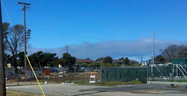 Treasure Island Arc Ecology