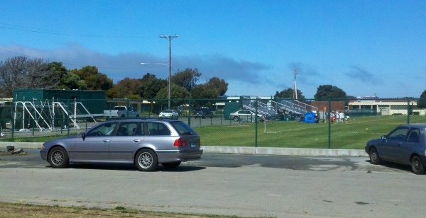 Treasure Island Arc Ecology