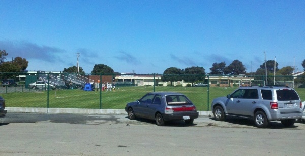 Treasure Island Arc Ecology