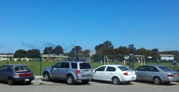 Treasure Island Arc Ecology