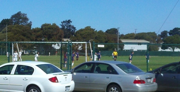 Treasure Island Arc Ecology